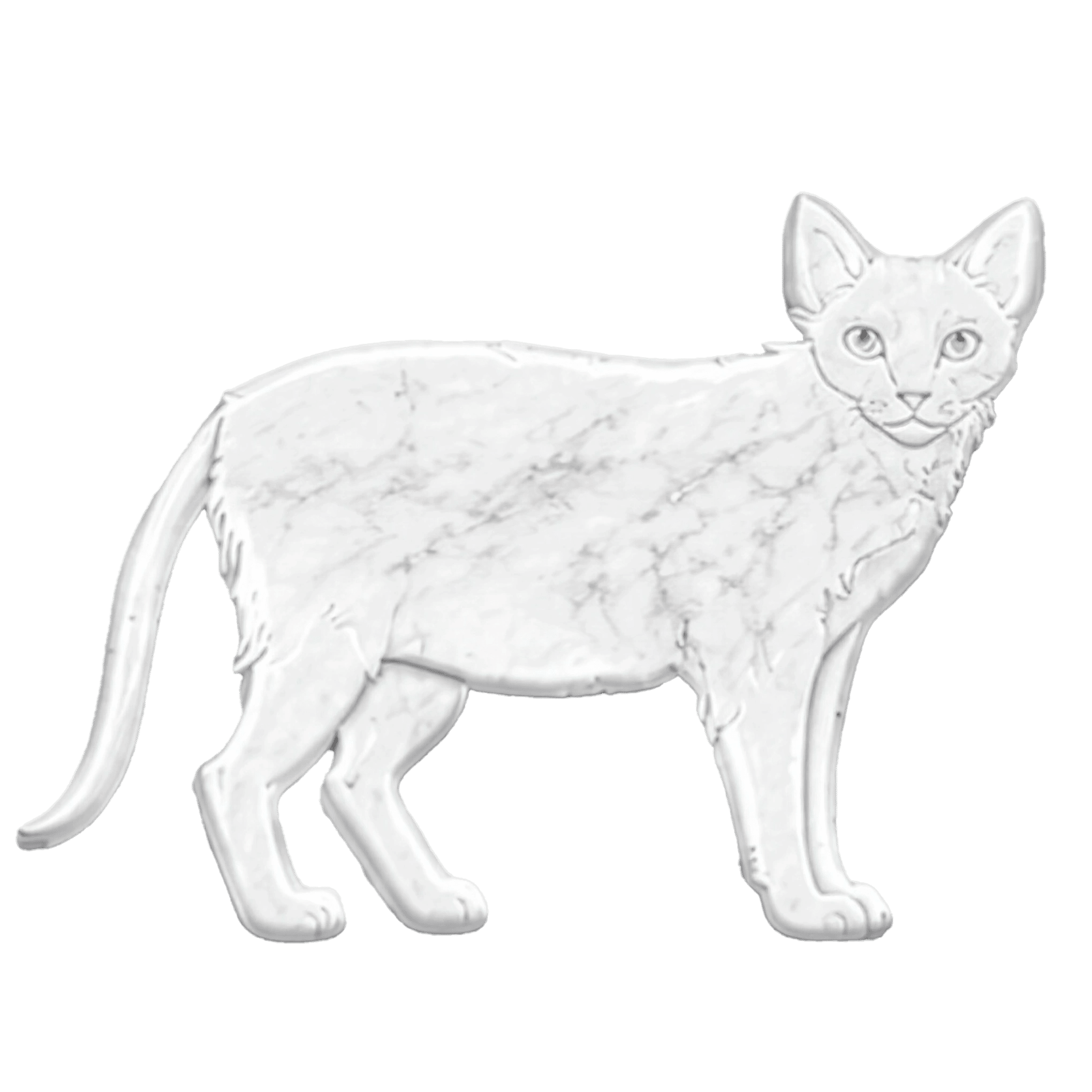 Gatto Lykoi in Marmo Bianco Carrara - Pawradise