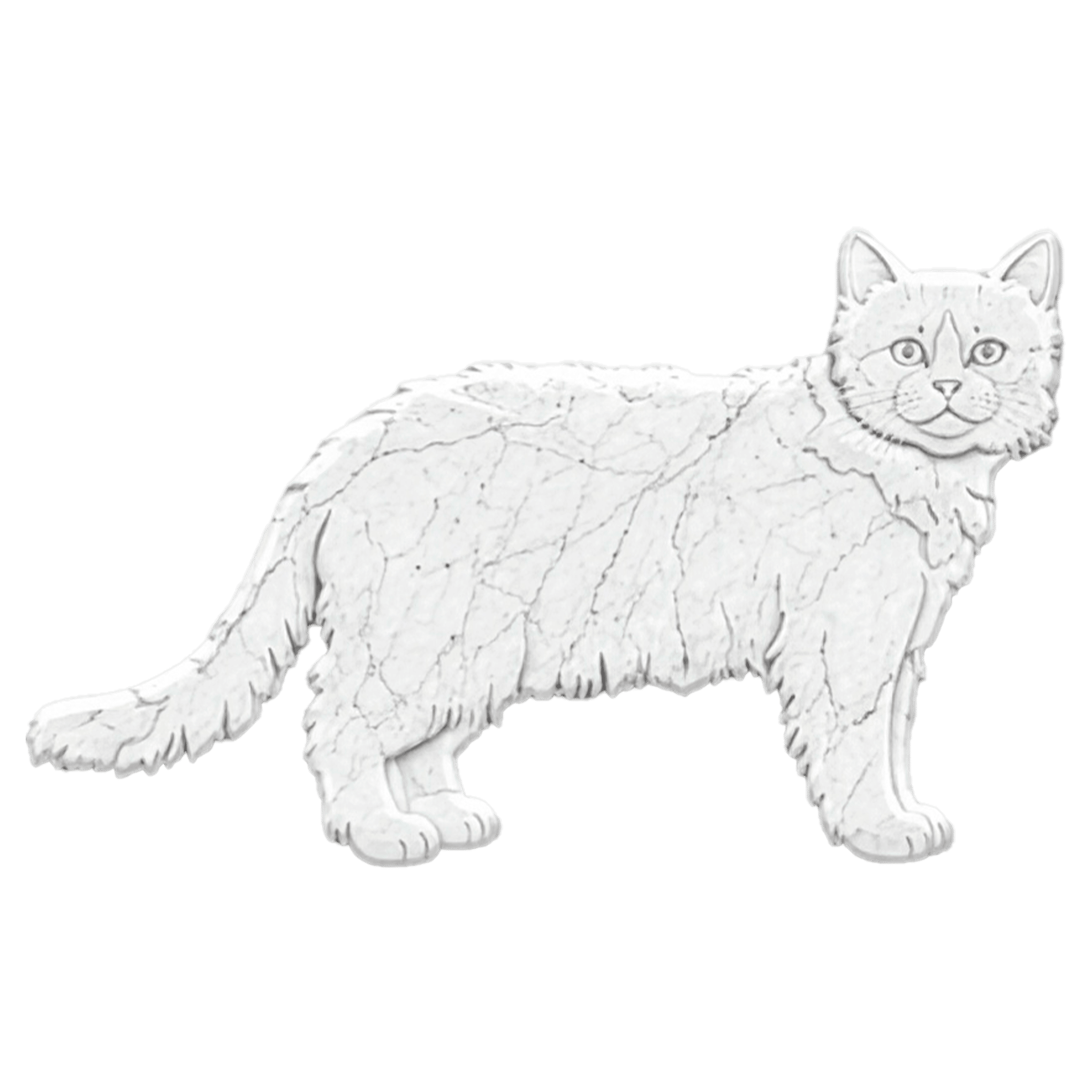 Gatto Ragdoll in Marmo Bianco Carrara - Pawradise