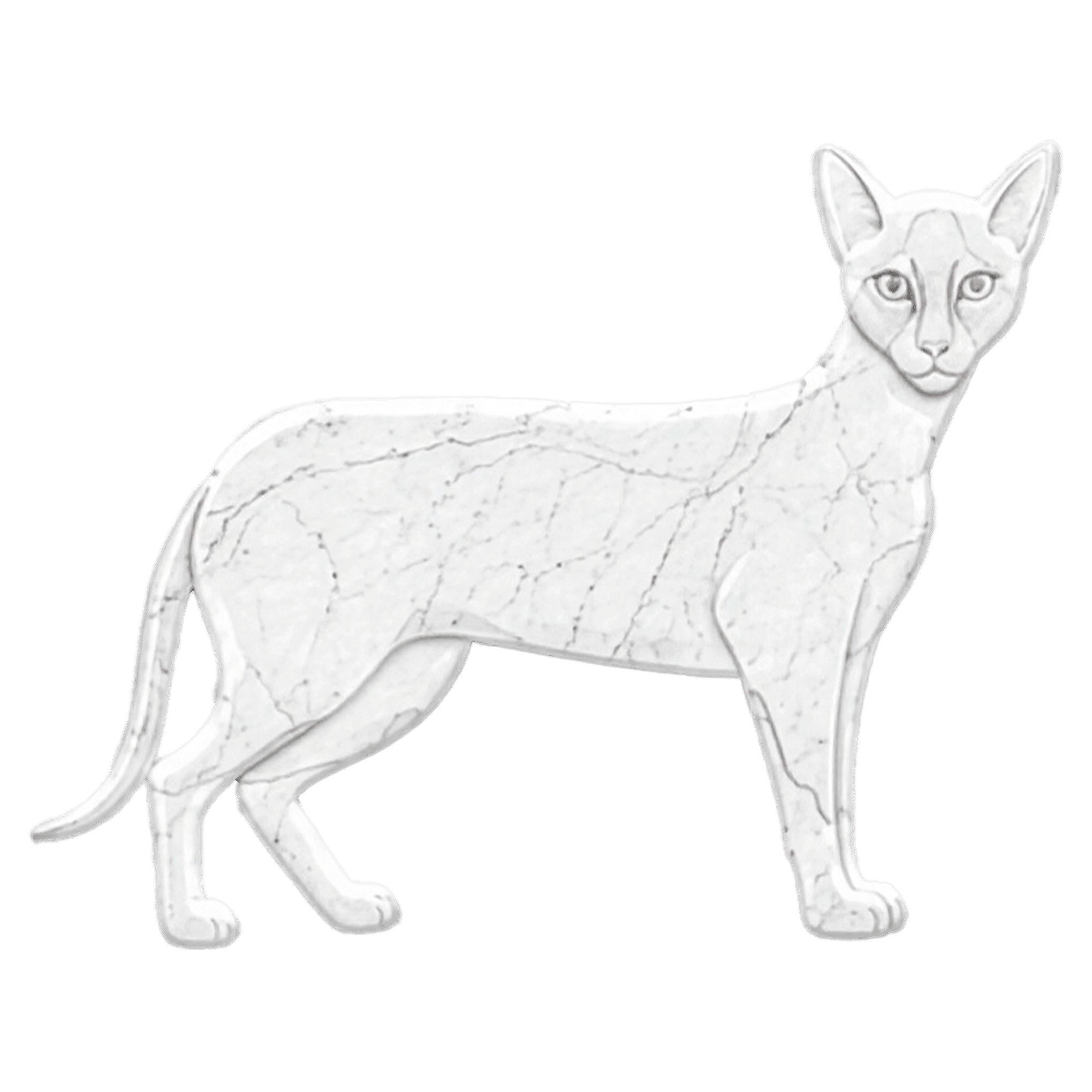 Gatto Siamese in Marmo Bianco Carrara - Pawradise